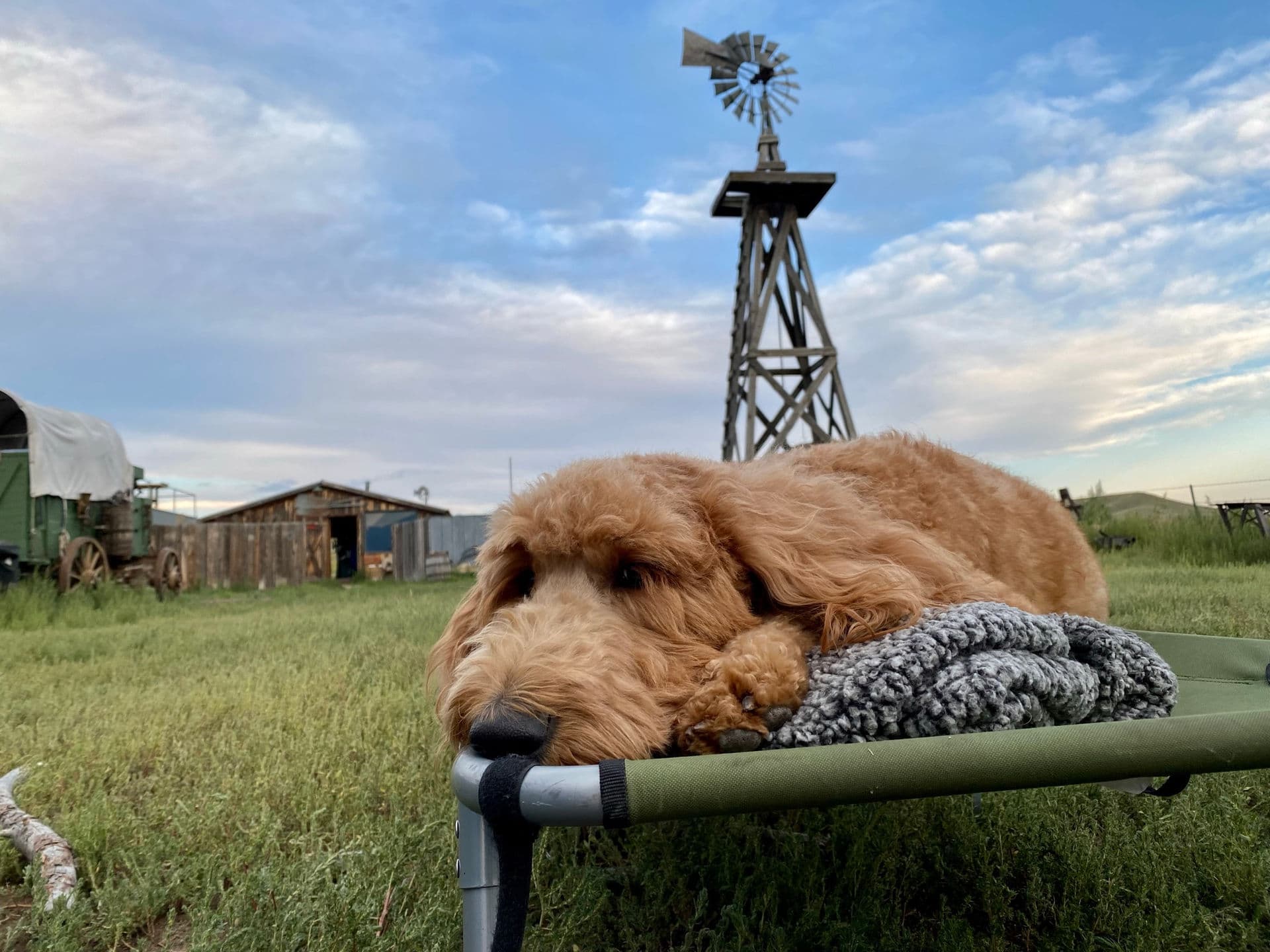 Turkey Toe with rainbow - the day we started the golf course